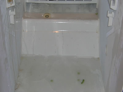 20060420-fridge3