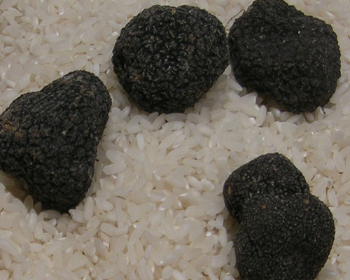 11-14-truffles