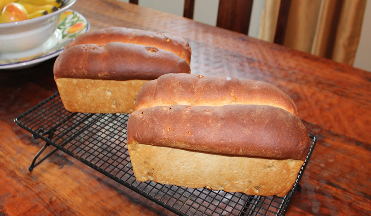 Whole Wheat Walnut Bread