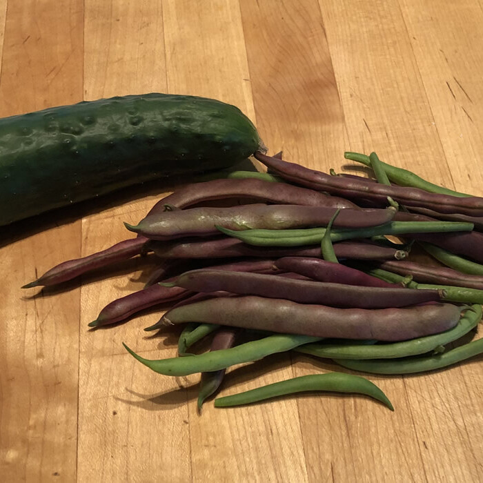 Fresh from the garden