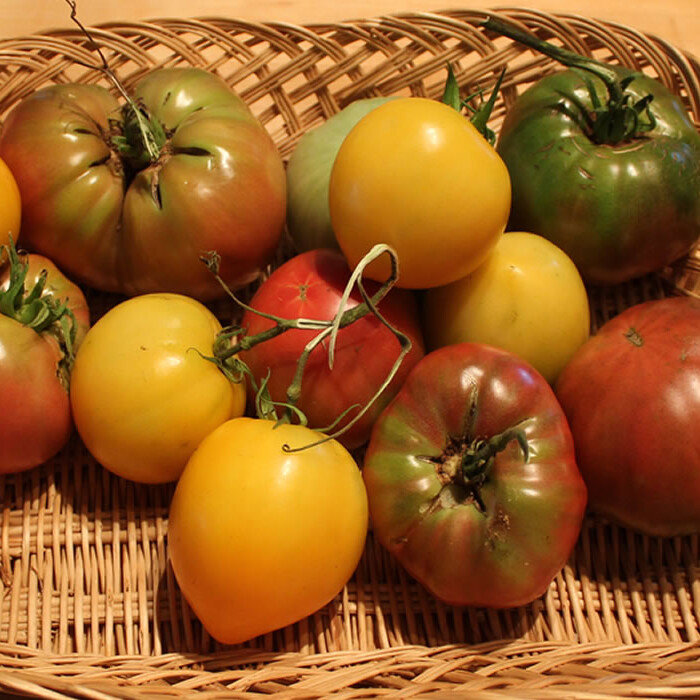 Tomatoes