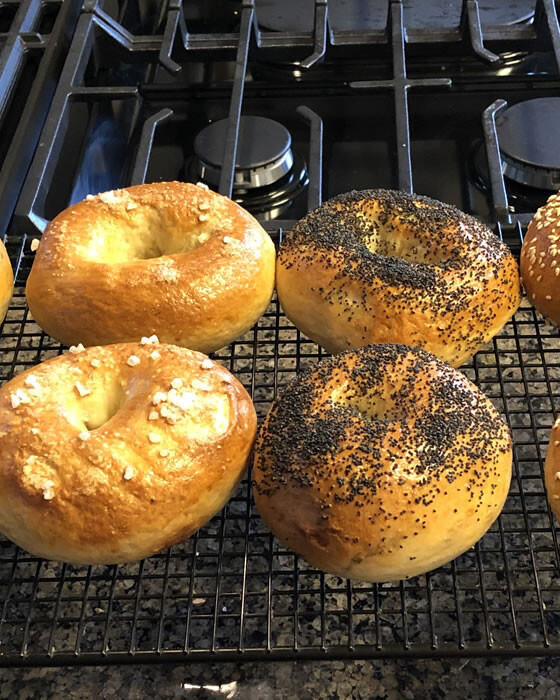 Homemade Bagels